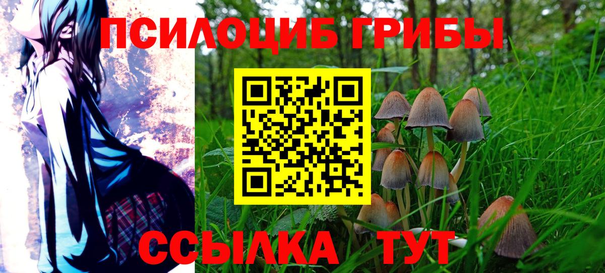 Псилоцибиновые грибы прущие грибы  Вход с VPN  Горно-Алтайск 