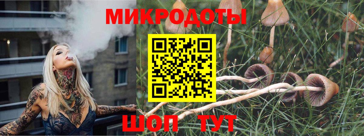 Псилоцибиновые грибы мицелий Горно-Алтайск